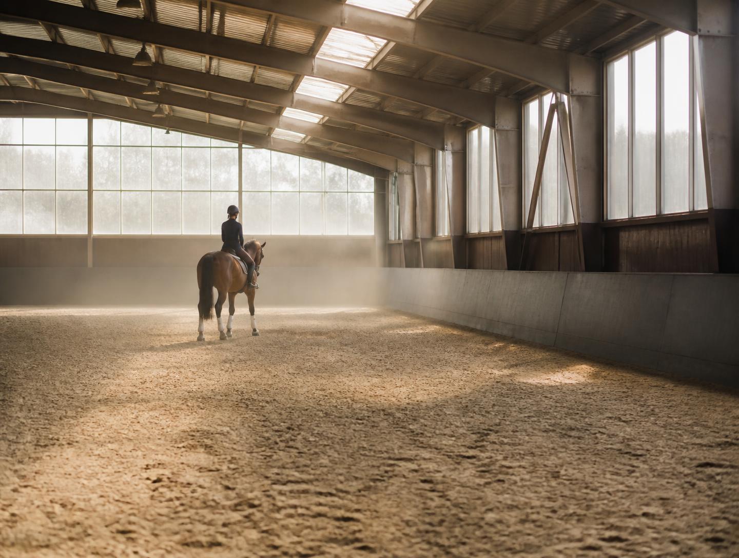 Rider schooling a horse in an indoor arena